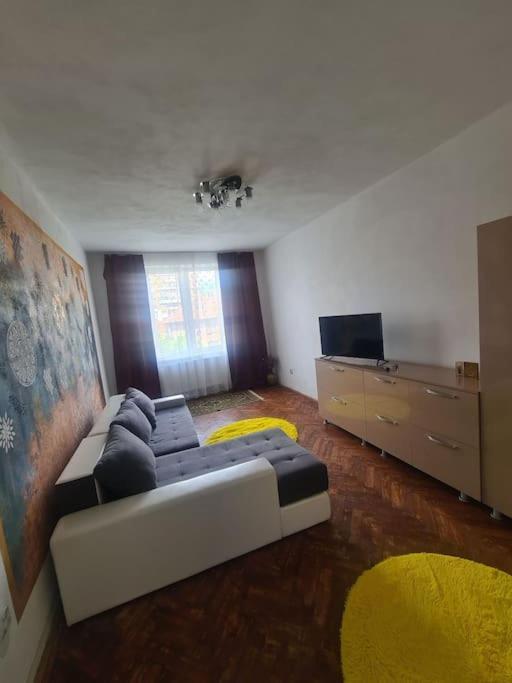 Mural Art Apartament Petroşani Exterior foto